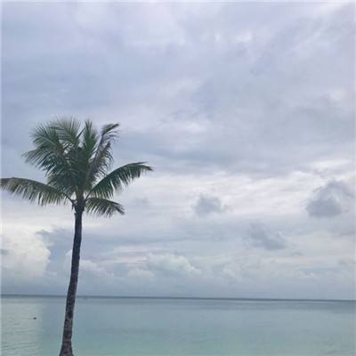 环游世界找差异手游下载